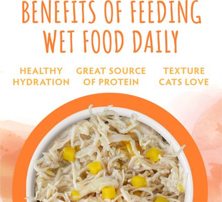 Originals Harvest Sunrise Chicken & Pumpkin Dinner in Gravy Wet Cat Food, 3-oz can, case of 12