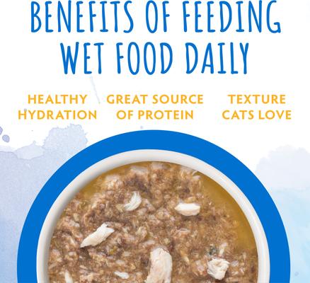 Comida húmeda para gatos Originals Island Illusion, salmón y atún en sopa de calabaza, bolsa de 3 oz, caja de 8