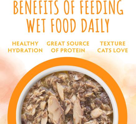 Originals Luna Tuna Tuna Dinner in Pumpkin Soup Wet Cat Food, 3-oz pouch, case of 8