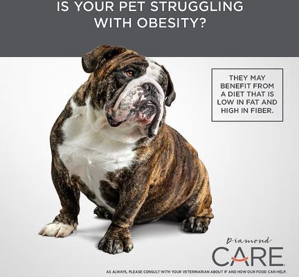 Care Weight Management Formula Adult Grain-Free Dry Dog Food, 25-lb bag