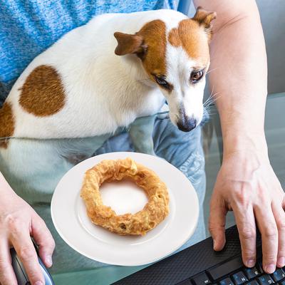 Chicken Wrapped Beef Tendon Ring Dog Chew, 10,6-oz bag