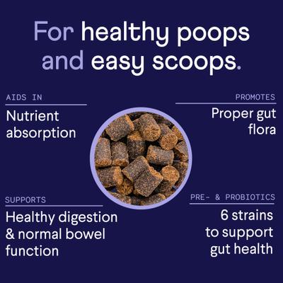 Digestive Prebiotic & Probiotic Peanut Butter Flavor Chew Supplement for Dogs, 90 count