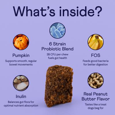 Digestive Prebiotic & Probiotic Peanut Butter Flavor Chew Supplement for Dogs, 90 count