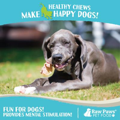 Lamb Ears Natural Dog Chew Treats, 30 count