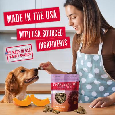 Bearnola Bites Pumpkin Spice Flavor Dog Treats, 8-oz bag