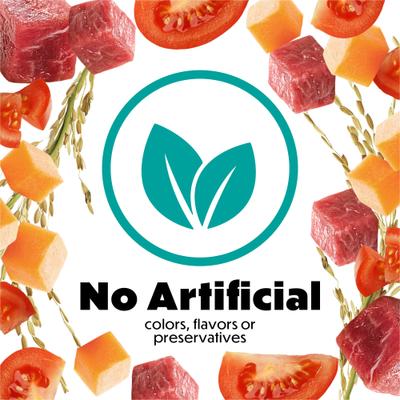 Freshly Prepared Blends with Lamb, Brown Rice, Carrots & Tomatoes Wet Dog Food, 10-oz container, case of 8