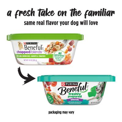 Freshly Prepared Blends with Lamb, Brown Rice, Carrots & Tomatoes Wet Dog Food, 10-oz container, case of 8