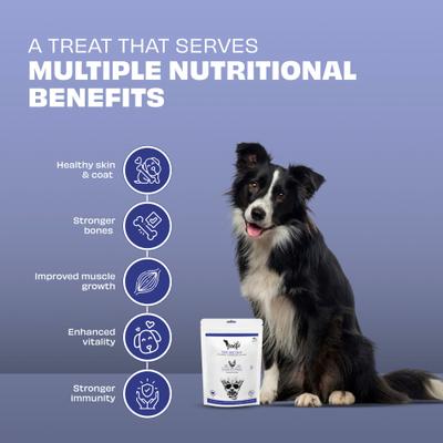 Woofur Chicken & Blueberry Air-Dried All Natural Grain-Free Jerky Dog Training Treat, 1.76-oz bag