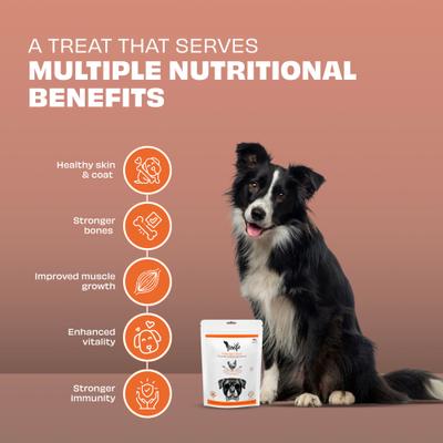 Woofur Chicken & Carrot Air-Dried All Natural Grain-Free Jerky Dog Training Treat, 1.76-oz bag