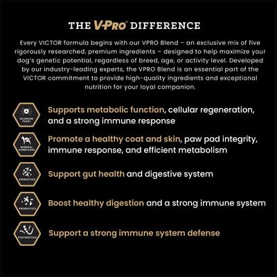 Bully Fuel High Protein Gluten-Free Beef & Chicken Dry Dog Food, 40-lb bag