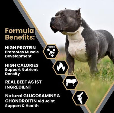 Bully Fuel High Protein Gluten-Free Beef & Chicken Dry Dog Food, 40-lb bag