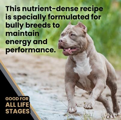 Bully Fuel High Protein Gluten-Free Beef & Chicken Dry Dog Food, 40-lb bag