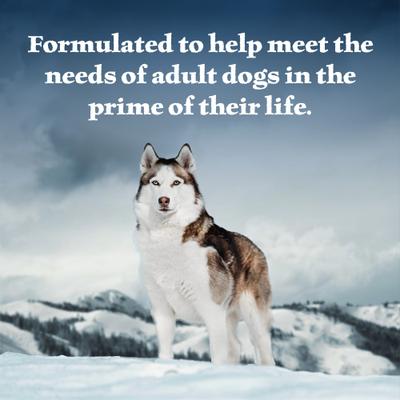 Wilderness Wolf Creek Stew High-Protein & Grain-Free Hearty Beef in Gravy Wet Dog Food, 12.5-oz can, 3 count