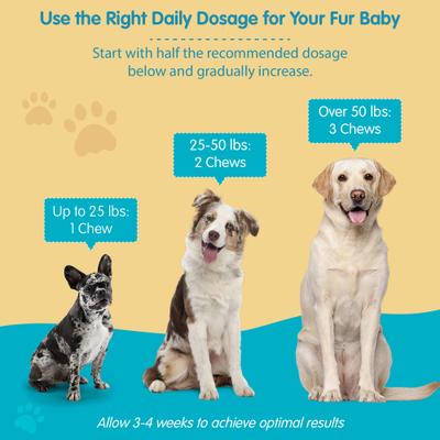 Omega 3-6-9 Skin & Coat Health Smoked Salmon Flavor Dog Supplement Soft Chews, 60 count