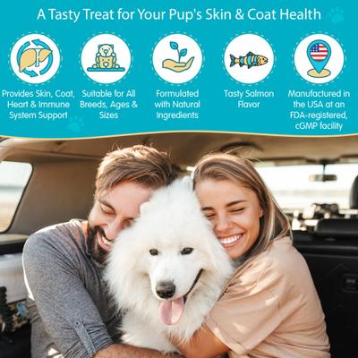Omega 3-6-9 Skin & Coat Health Smoked Salmon Flavor Dog Supplement Soft Chews, 60 count