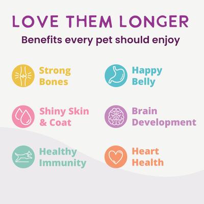 Gently Cooked Grain-Free Variety Pack Wet Dog Food, 3-oz pouch, 20 count