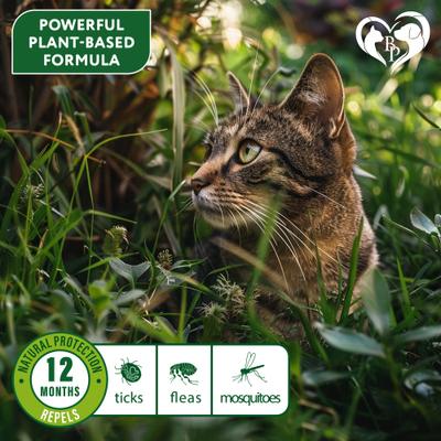 Collar natural contra pulgas y garrapatas para gatos, 2 unidades