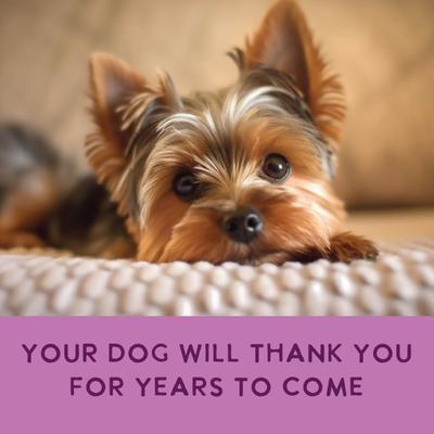 Gently Cooked Grain-Free Variety Pack Wet Dog Food, 3-oz pouch, 20 count