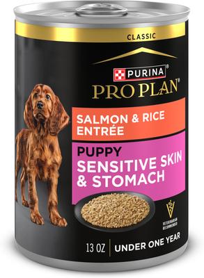 Sensitive Stomach & Skin Puppy Salmon & Rice Entrée Classic Wet Dog Food, 13-oz can, case of 12