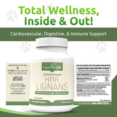 Lignans for Life 20-mg HMR Capsules Hormone Supplement for Dogs, 500-mL bottle