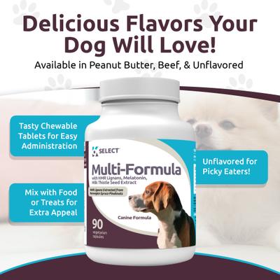 HMR Multi-Formula 20-mg Chewable Tablets Hormone Supplement for Dogs, 500-mL bottle