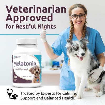 Melatonin 1-mg Beef Flavored Chewable Tablets Calming Supplement for Dogs, 500-mL bottle