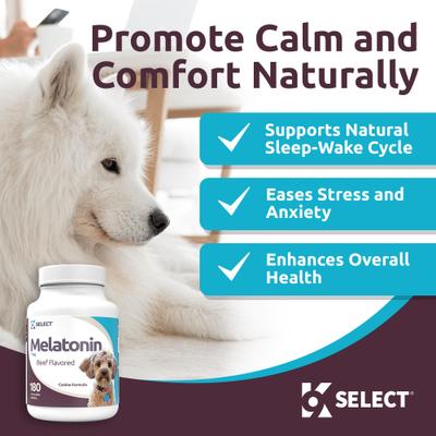 Melatonin 1-mg Beef Flavored Chewable Tablets Calming Supplement for Dogs, 500-mL bottle