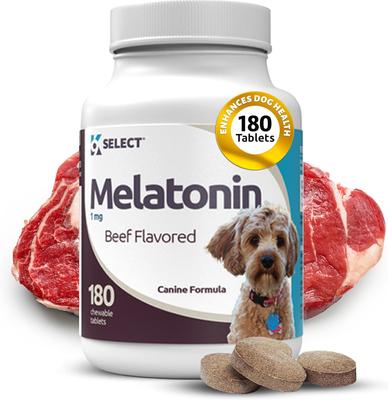 Melatonin 1-mg Beef Flavored Chewable Tablets Calming Supplement for Dogs, 500-mL bottle