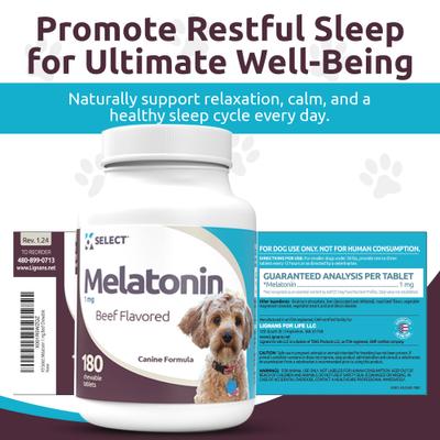 Melatonin 1-mg Beef Flavored Chewable Tablets Calming Supplement for Dogs, 500-mL bottle