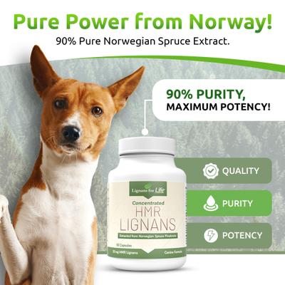 Lignans for Life 20-mg HMR Capsules Hormone Supplement for Dogs, 500-mL bottle