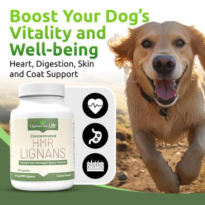Lignans for Life 20-mg HMR Capsules Hormone Supplement for Dogs, 500-mL bottle