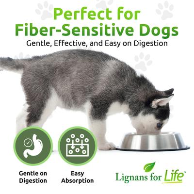 Lignans for Life 20-mg HMR Capsules Hormone Supplement for Dogs, 500-mL bottle