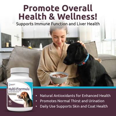 HMR Multi-Formula 20-mg Chewable Tablets Hormone Supplement for Dogs, 500-mL bottle