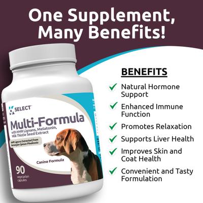 HMR Multi-Formula 20-mg Chewable Tablets Hormone Supplement for Dogs, 500-mL bottle