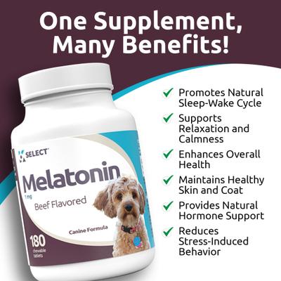 Melatonin 1-mg Beef Flavored Chewable Tablets Calming Supplement for Dogs, 500-mL bottle