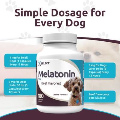Melatonin 1-mg Beef Flavored Chewable Tablets Calming Supplement for Dogs, 500-mL bottle