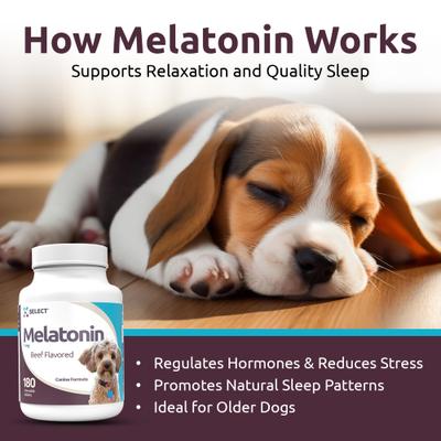 Melatonin 1-mg Beef Flavored Chewable Tablets Calming Supplement for Dogs, 500-mL bottle