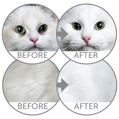 Superior Care Herring Grain-Free Adult Dry Cat Food, 15.4-lb bag