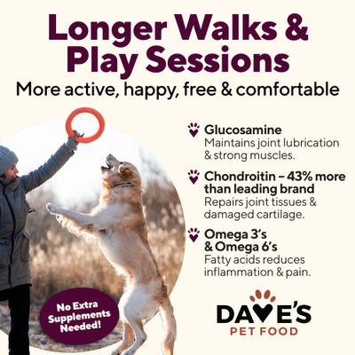 Hip & Joint Support with Glucosamine, Chicken, Duck & Turkey Recipe Wet Dog Food, 13.2-oz can, 12 count