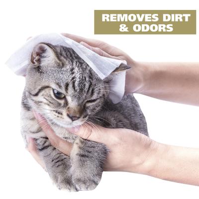 Refresh Coconut Lime Verbena Cat Cleaning Wipes, White/Black/Gold