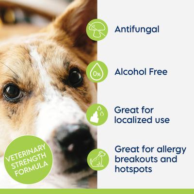 Keto-C Tris Dog & Cat Flush, White, 12-fl oz bottle