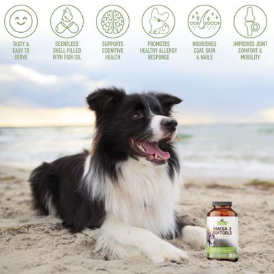 Omega-3 Soft Gels Dog Supplement, 250 count