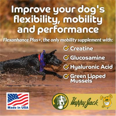 Flexenhance Hip & Joint Supplement with Glucosamine & Green Lipped Mussel for Dogs, 80 count
