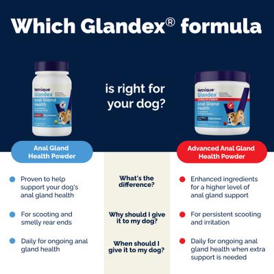 Glandex Advanced Vet Duck & Bacon Flavor Strength Anal Gland Powder Supplement for Dogs, 4.25-oz jar
