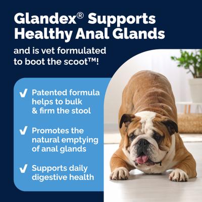 Glandex Advanced Vet Duck & Bacon Flavor Strength Anal Gland Powder Supplement for Dogs, 4.25-oz jar