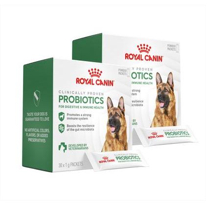 Suplemento en polvo de probióticos para la salud digestiva e inmunitaria de perros, 30 unidades