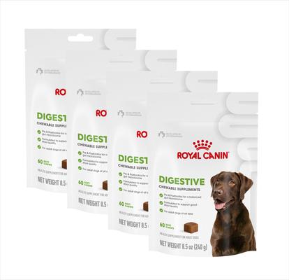 Digestive Support Soft Chews Supplement for Adult Dogs, 60 count, bundle of 4