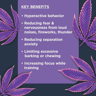 Calming Soft Chew Dog Supplement, 90 Count