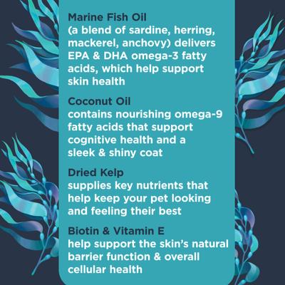 Masticables blandos funcionales con sabor a coco y omega-9, suplemento para la piel y el pelaje de perros, 90 unidades