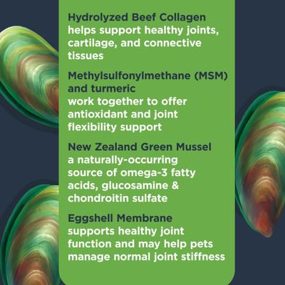 Hydrolyzed Beef Flavored Soft Chews Joint Supplement for Dogs, 90 count